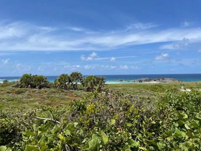 Dragon Cay Resort Mudjin Harbour MDS